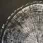 Chesapeake Bay Oak - "in Memoriam" - Hand Pulled Inverse Tree Ring Print
