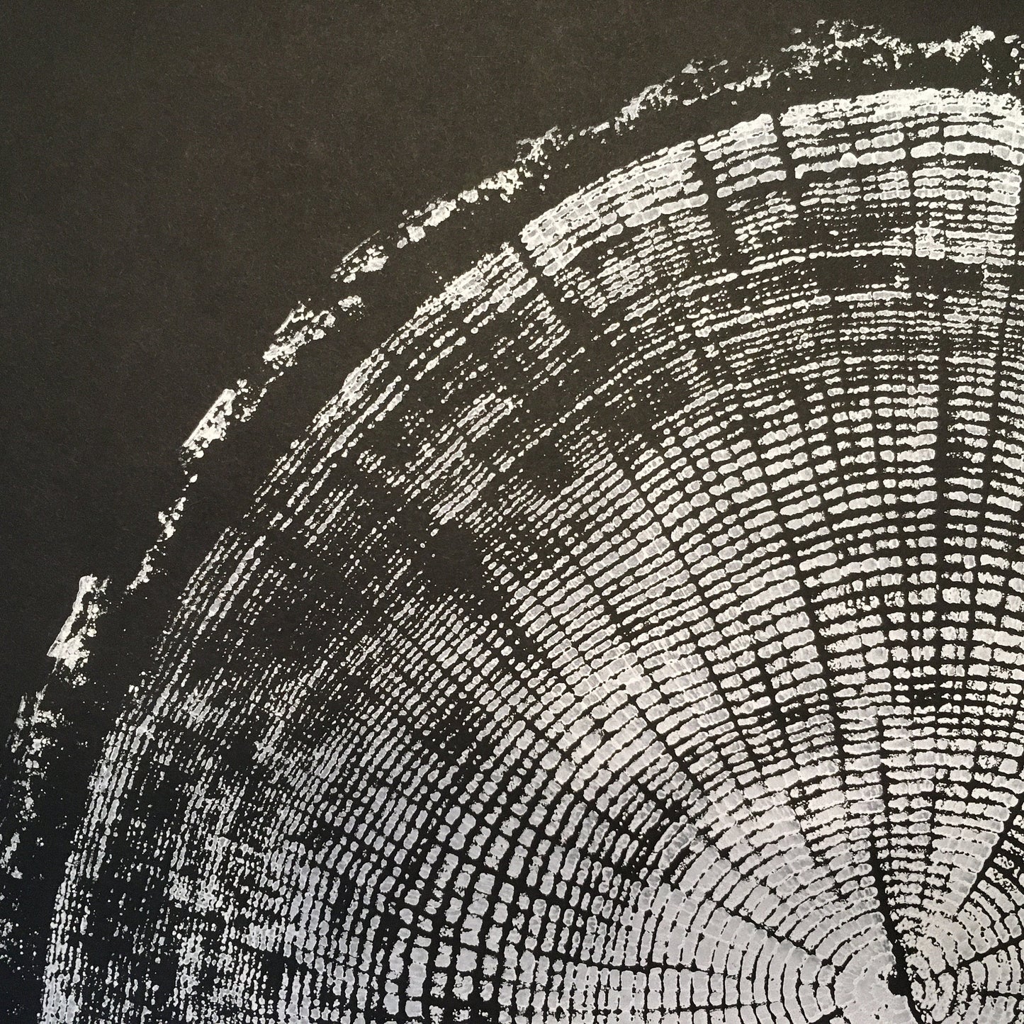 Chesapeake Bay Oak - "in Memoriam" - Hand Pulled Inverse Tree Ring Print