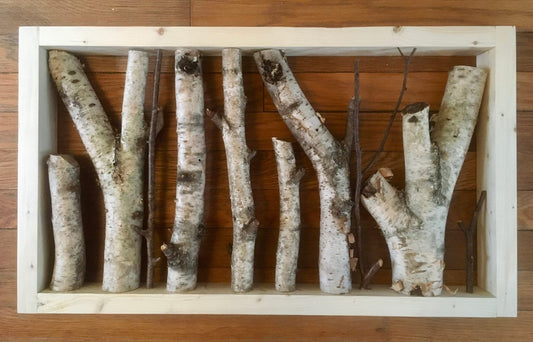 Rustic Foraged Birch Branches 3D Art with Reclaimed Pine Frame - "The Forest" - Large Format 15x26