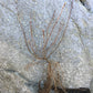 Live aronia berry / black chokeberry plant (Aronia melanocarpa) - Bare root