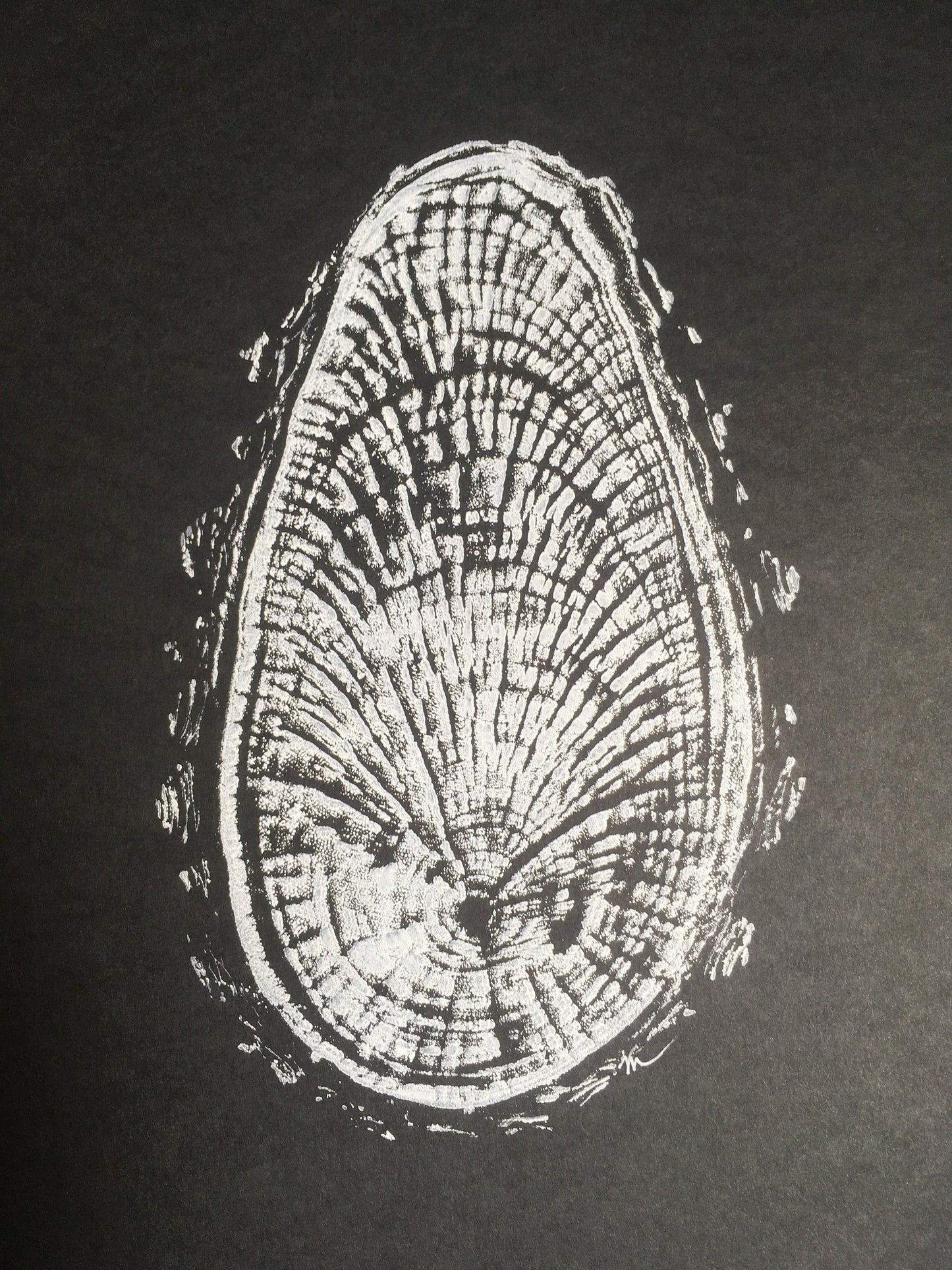 New England Maple - "Footprints" - Hand Pulled Inverse Tree Ring Print