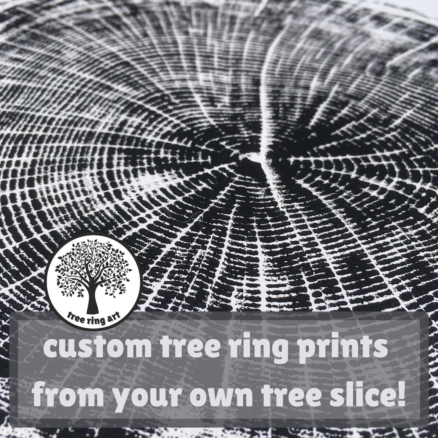 Custom Tree Ring Prints (3x) From Your Own Tree Slice