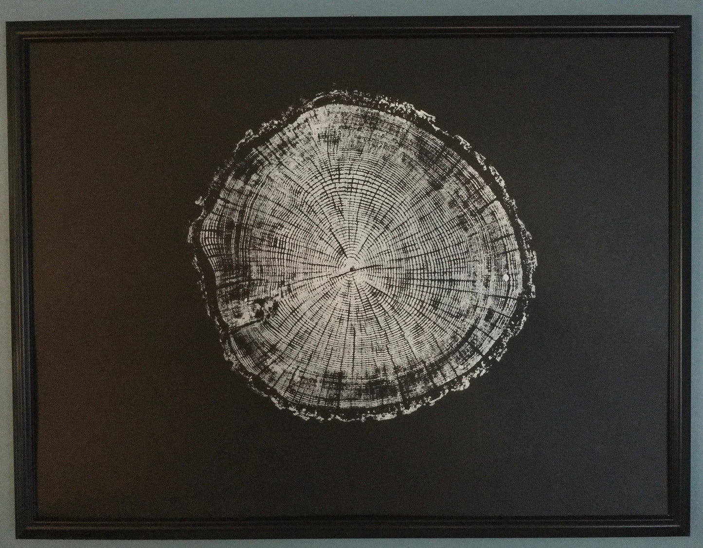 Chesapeake Bay Oak - "in Memoriam" - Hand Pulled Inverse Tree Ring Print