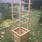 Tomato Planter Box with Vertical and Horizontal Supports