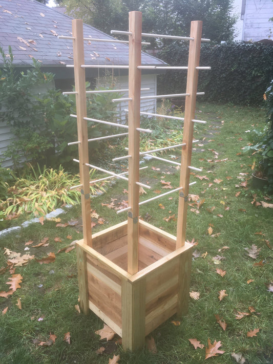 Tomato Planter Box with Vertical and Horizontal Supports