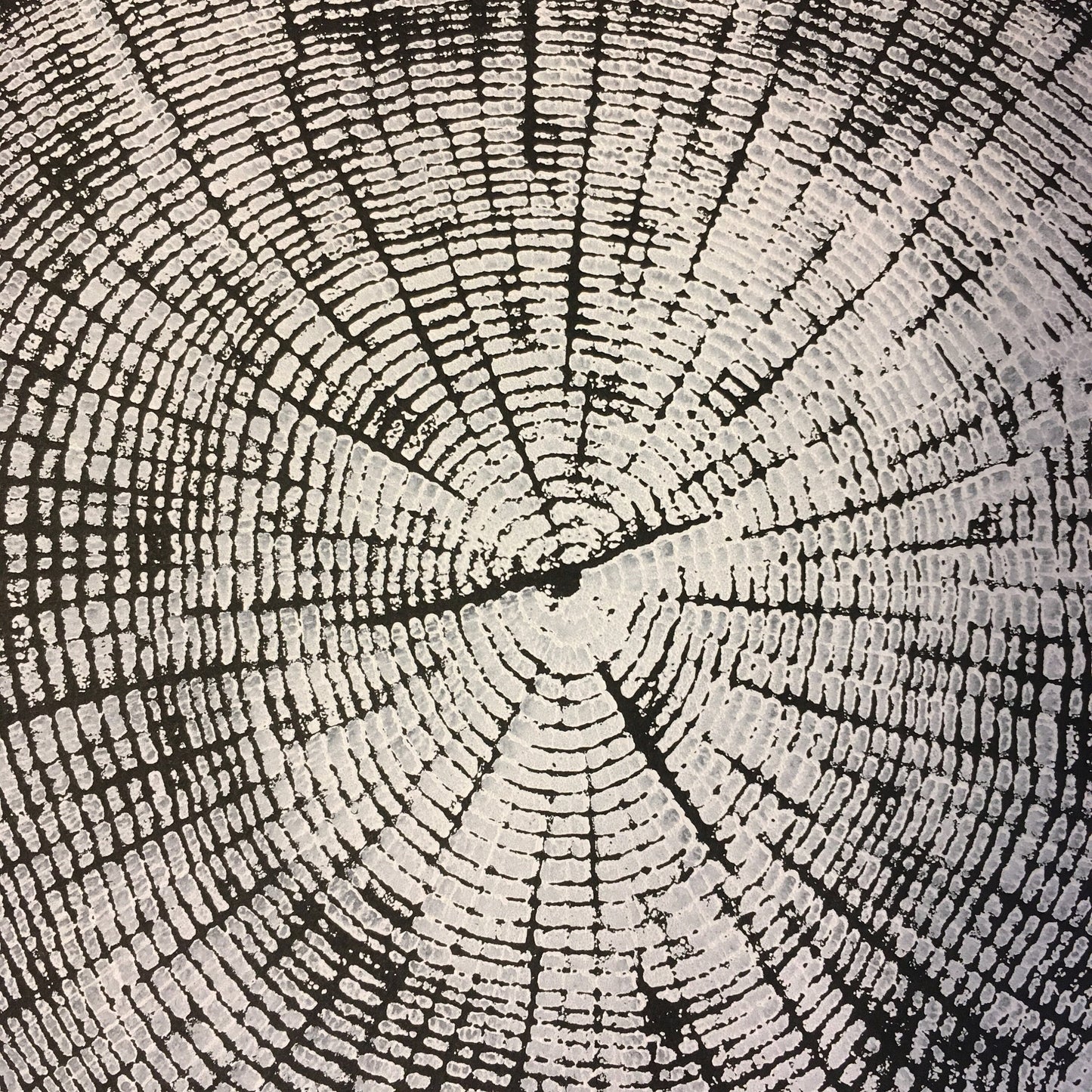 Chesapeake Bay Oak - "in Memoriam" - Hand Pulled Inverse Tree Ring Print