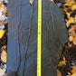 Live Chokecherry plant (Prunus virginiana) - Bare Root
