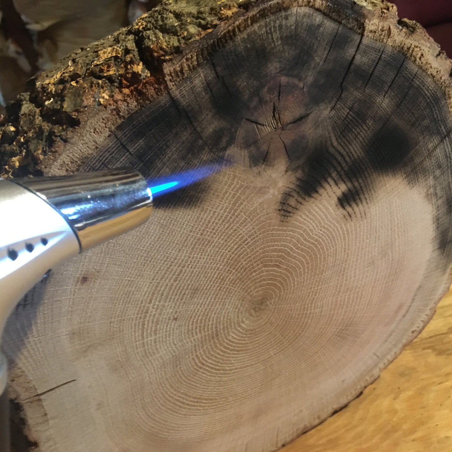 Chesapeake Bay Oak - "in Memoriam" - Hand Pulled Tree Ring Print