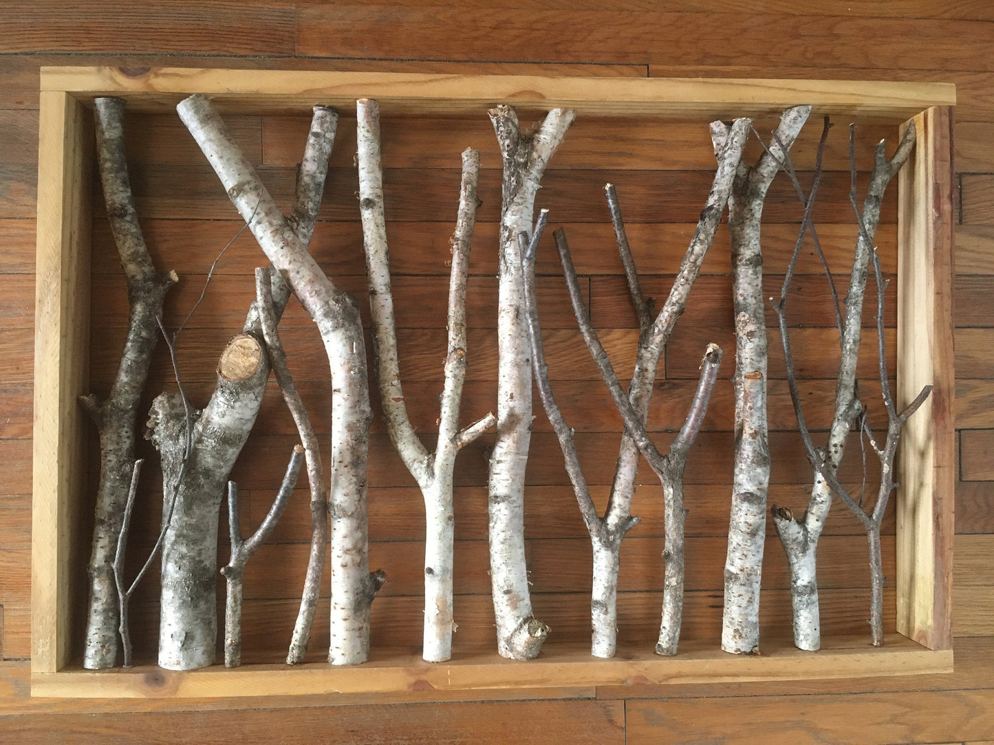 Rustic Foraged Birch Branches 3D Art with Reclaimed Pine Frame - "Winter in the Woods" - Large Format 24x36