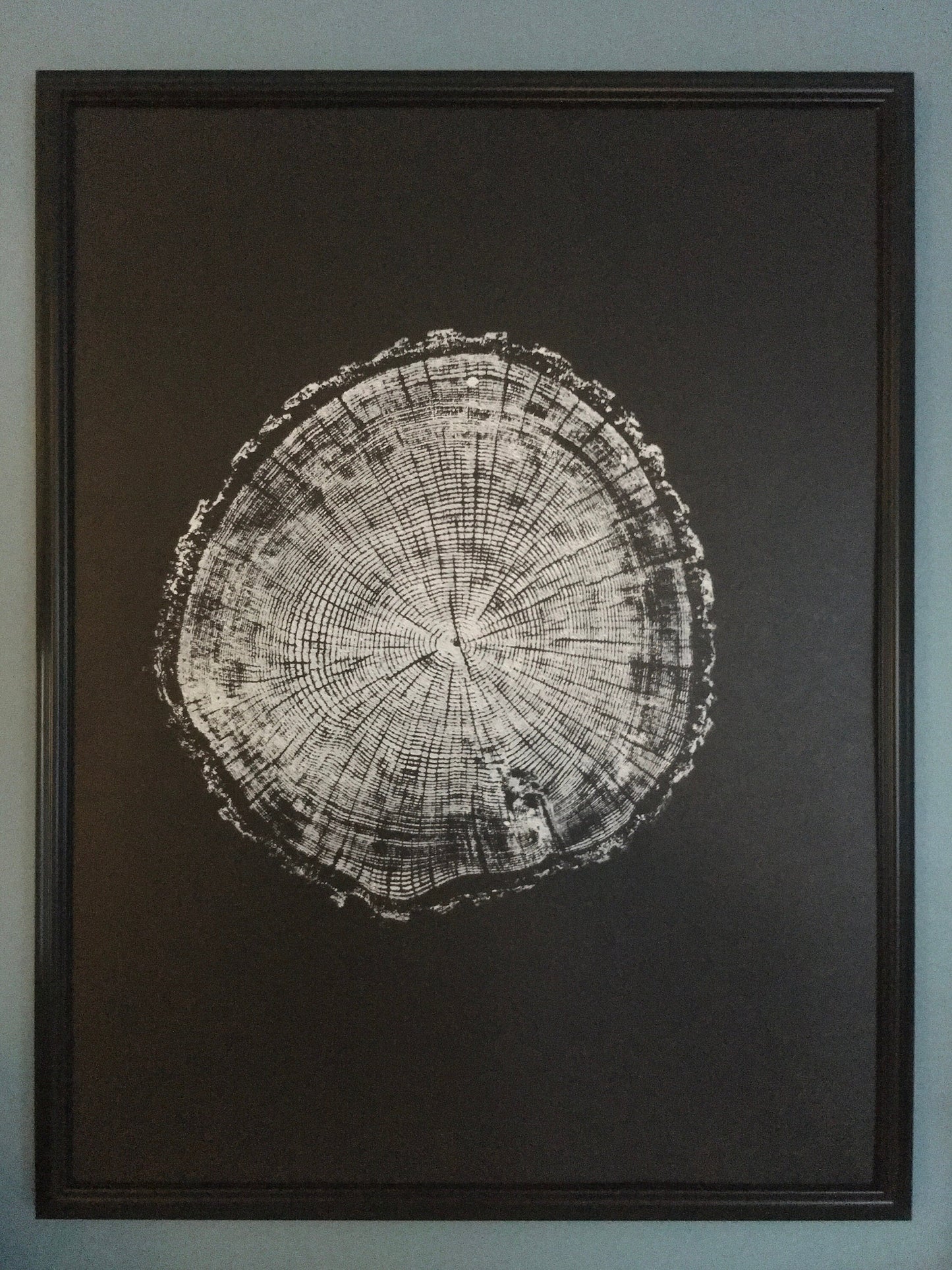 Chesapeake Bay Oak - "in Memoriam" - Hand Pulled Inverse Tree Ring Print