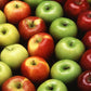 MULTI VARIETY Custom Grafted Baby Apple Tree - POTTED - Any 2 varieties, any size when mature - Current year, 12+ inches tall