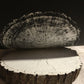 Chesapeake Bay Oak - "in Memoriam" - Hand Pulled Inverse Tree Ring Print
