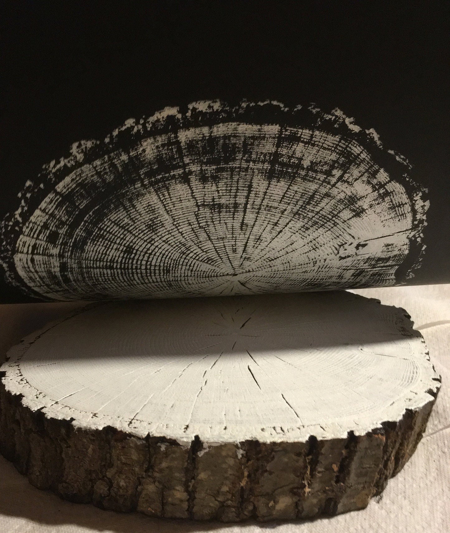 Chesapeake Bay Oak - "in Memoriam" - Hand Pulled Inverse Tree Ring Print