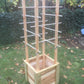 Tomato Planter Box with Vertical and Horizontal Supports