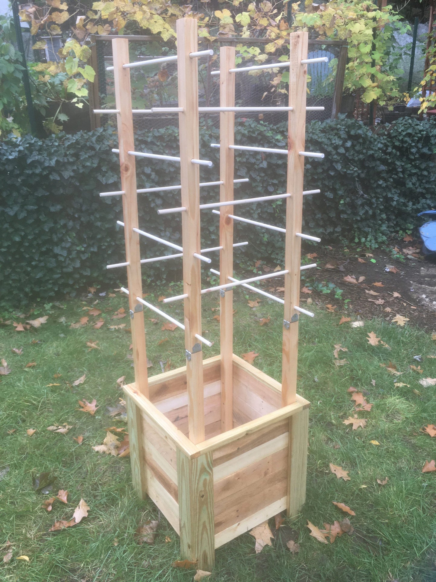 Tomato Planter Box with Vertical and Horizontal Supports