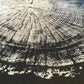 Chesapeake Bay Oak - "in Memoriam" - Hand Pulled Inverse Tree Ring Print