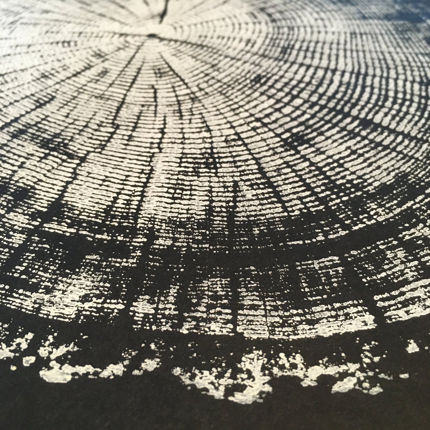 Chesapeake Bay Oak - "in Memoriam" - Hand Pulled Inverse Tree Ring Print