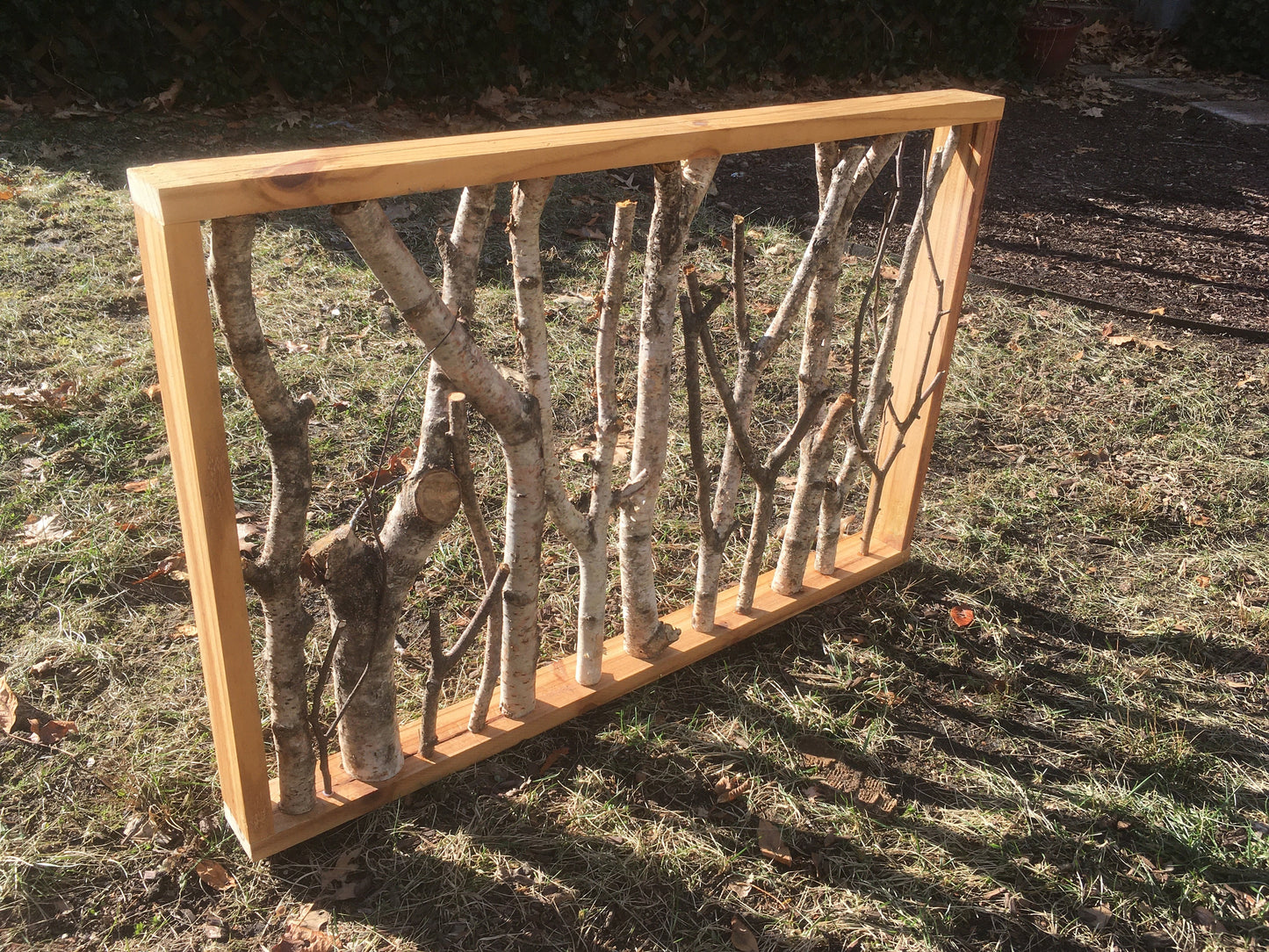 Rustic Foraged Birch Branches 3D Art with Reclaimed Pine Frame - "Winter in the Woods" - Large Format 24x36